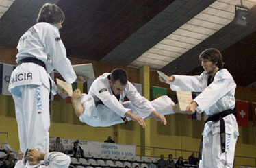taekwondovigo2