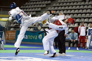 taekwondovigo4
